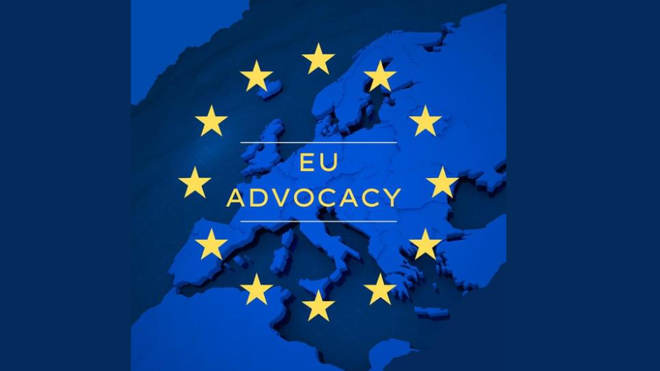 Training workshops on EU Advocacy